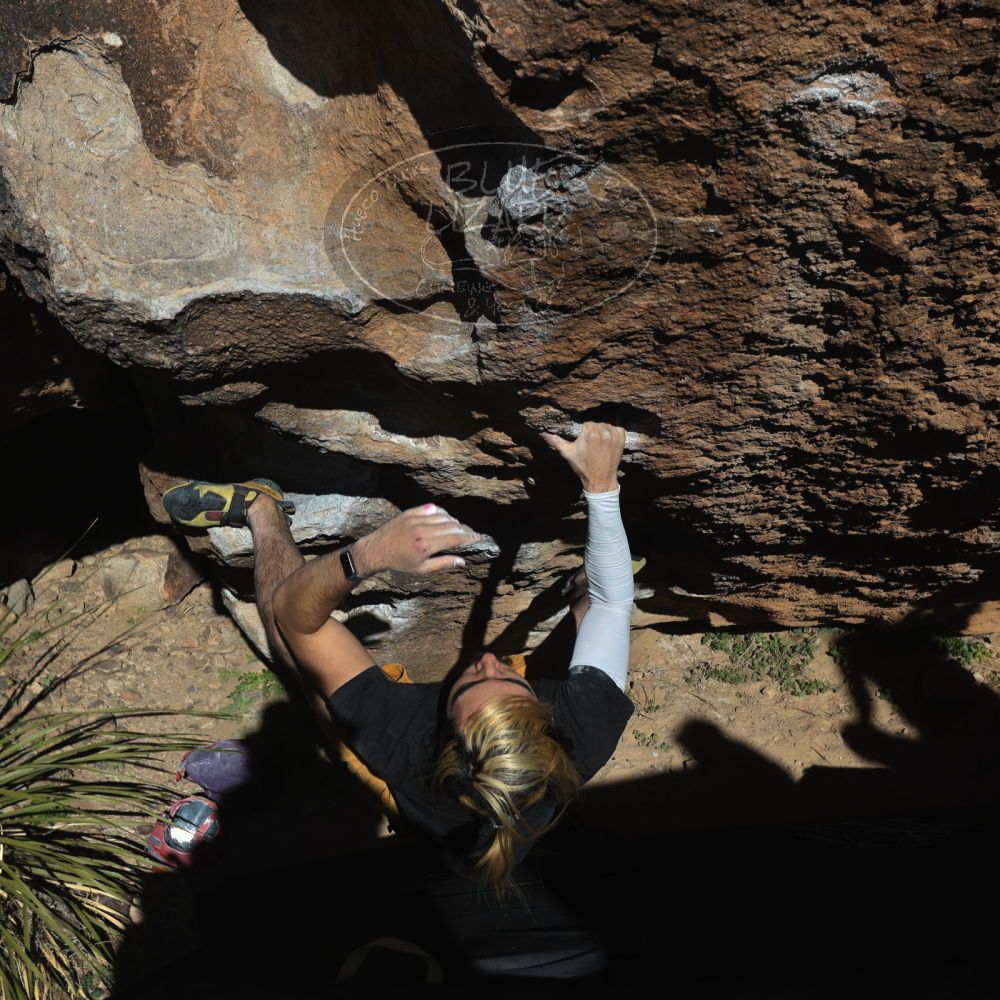 

Filename: SRM_20220226_1509320.jpg
Aperture: f/8.0
Shutter Speed: 1/500
Body: Canon EOS R6
Lens: Canon EF 16-35mm f/2.8 L