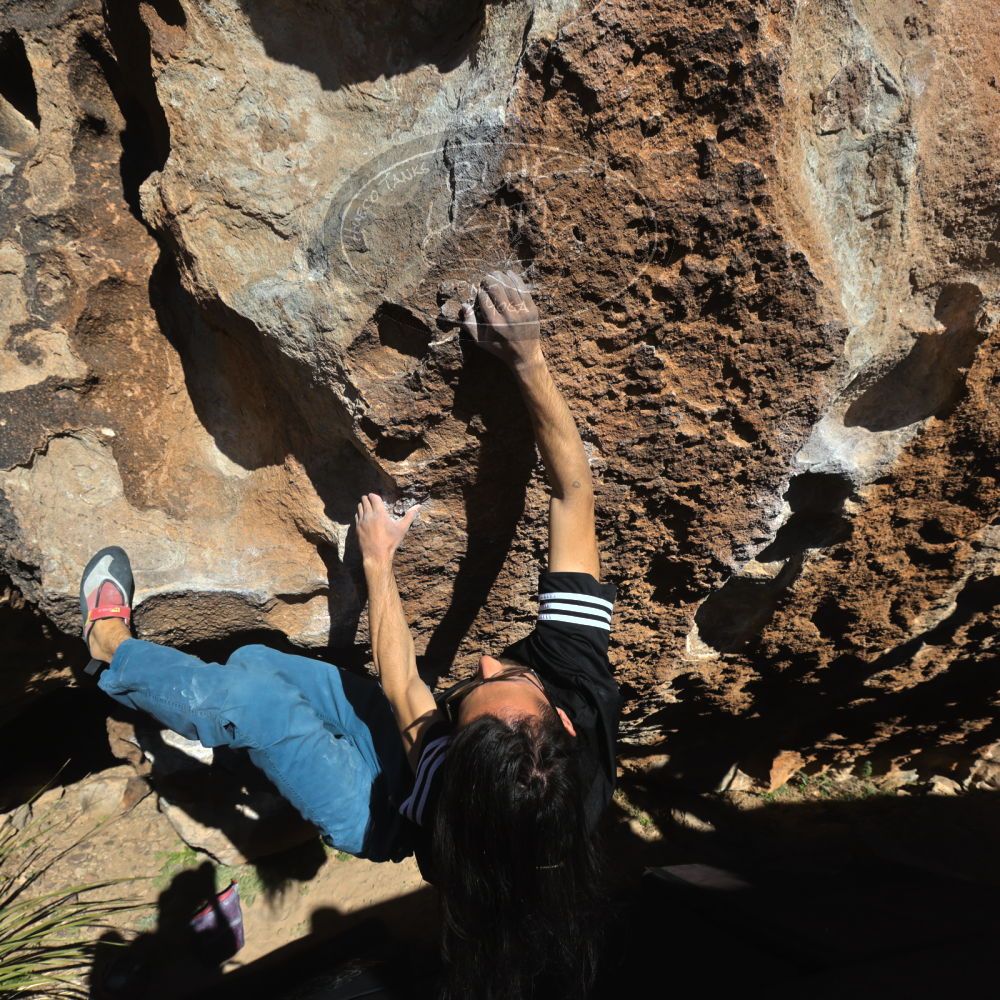 

Filename: SRM_20220226_1510540.jpg
Aperture: f/8.0
Shutter Speed: 1/500
Body: Canon EOS R6
Lens: Canon EF 16-35mm f/2.8 L