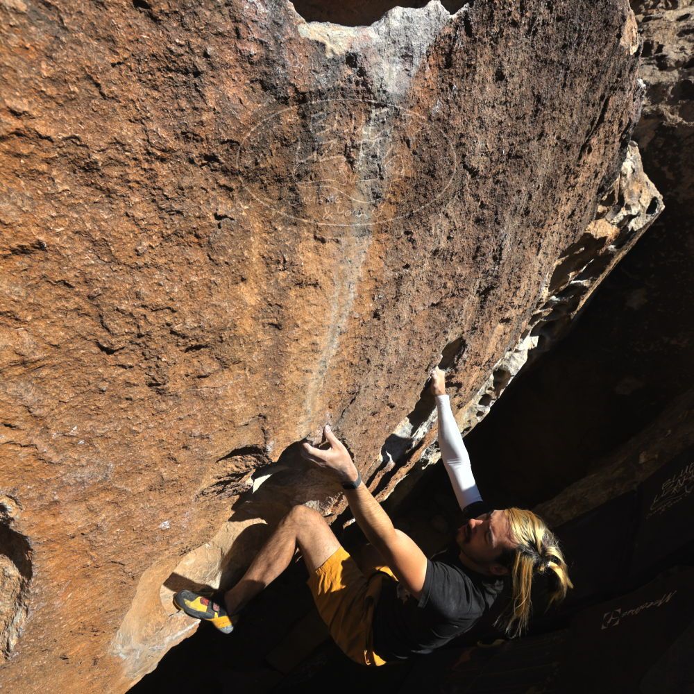 

Filename: SRM_20220226_1530260.jpg
Aperture: f/8.0
Shutter Speed: 1/500
Body: Canon EOS R6
Lens: Canon EF 16-35mm f/2.8 L