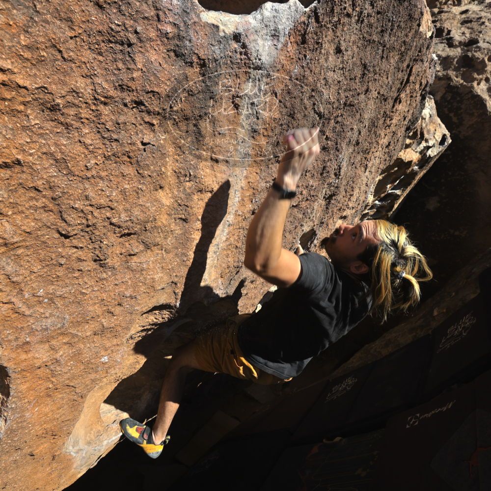 

Filename: SRM_20220226_1530340.jpg
Aperture: f/8.0
Shutter Speed: 1/500
Body: Canon EOS R6
Lens: Canon EF 16-35mm f/2.8 L