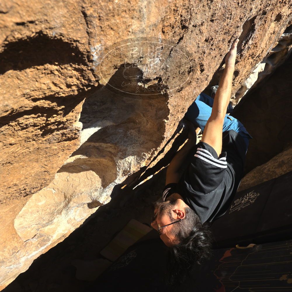 

Filename: SRM_20220226_1532260.jpg
Aperture: f/8.0
Shutter Speed: 1/500
Body: Canon EOS R6
Lens: Canon EF 16-35mm f/2.8 L