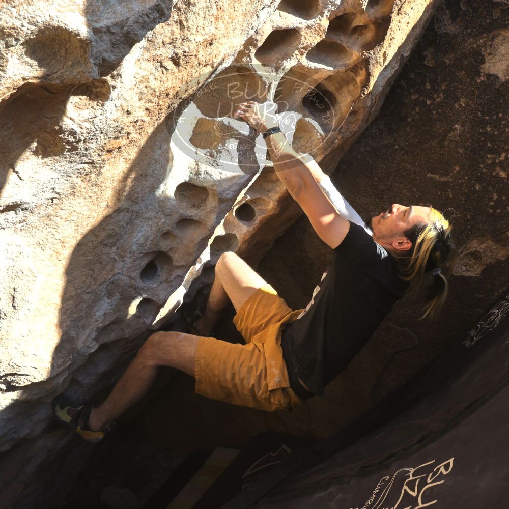 

Filename: SRM_20220226_1547360.jpg
Aperture: f/8.0
Shutter Speed: 1/500
Body: Canon EOS R6
Lens: Canon EF 16-35mm f/2.8 L