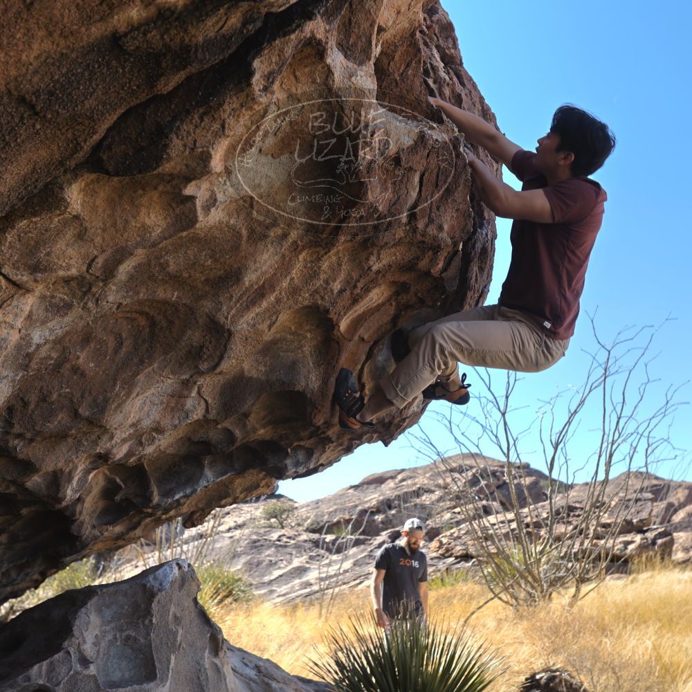 

Filename: SRM_20220226_1018260.jpg
Aperture: f/5.0
Shutter Speed: 1/250
Body: Canon EOS R6
Lens: Canon EF 16-35mm f/2.8 L