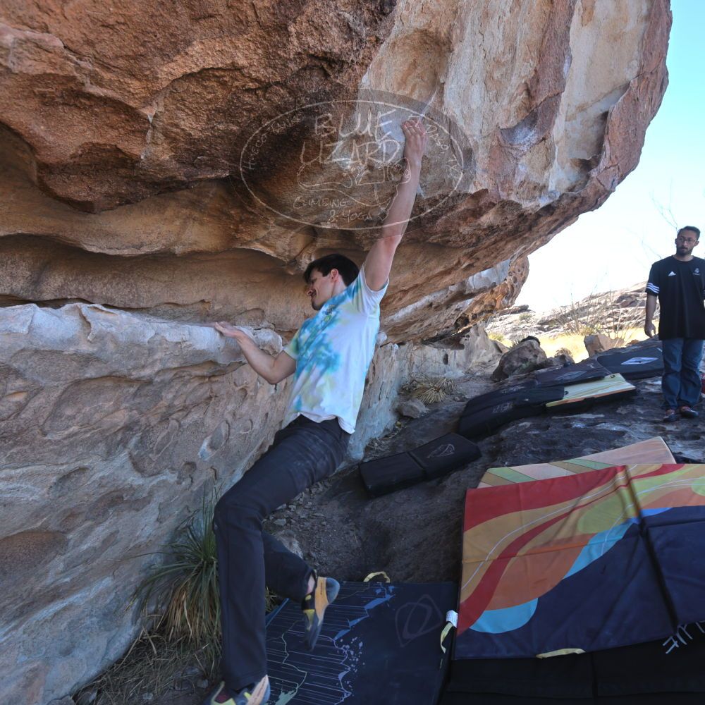 

Filename: SRM_20220226_1024522.jpg
Aperture: f/5.6
Shutter Speed: 1/250
Body: Canon EOS R6
Lens: Canon EF 16-35mm f/2.8 L