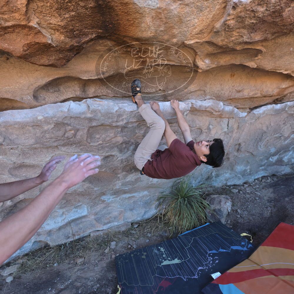 

Filename: SRM_20220226_1031070.jpg
Aperture: f/5.6
Shutter Speed: 1/250
Body: Canon EOS R6
Lens: Canon EF 16-35mm f/2.8 L