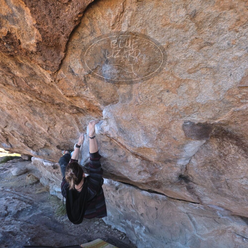 

Filename: SRM_20220226_1044220.jpg
Aperture: f/5.6
Shutter Speed: 1/250
Body: Canon EOS R6
Lens: Canon EF 16-35mm f/2.8 L