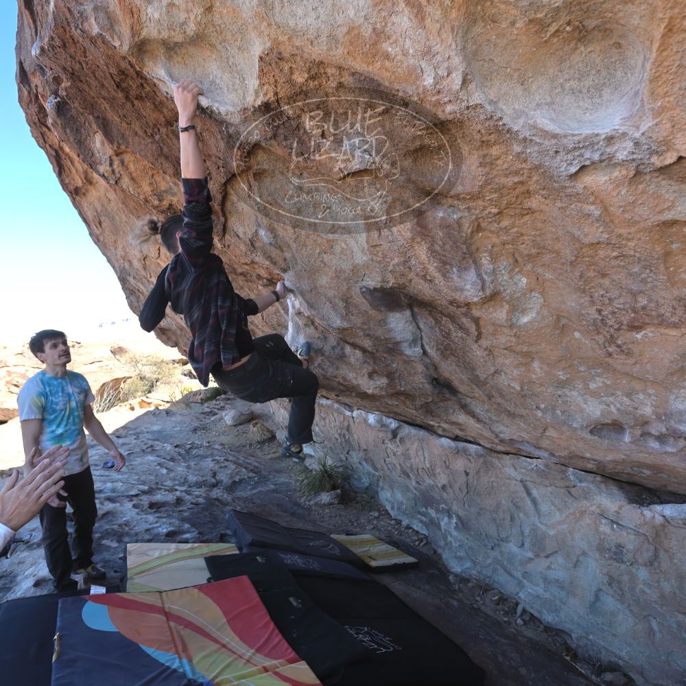 

Filename: SRM_20220226_1044462.jpg
Aperture: f/5.6
Shutter Speed: 1/250
Body: Canon EOS R6
Lens: Canon EF 16-35mm f/2.8 L