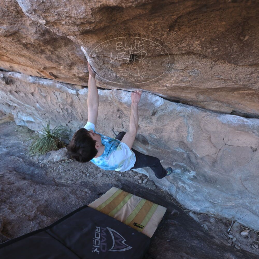 

Filename: SRM_20220226_1046520.jpg
Aperture: f/5.6
Shutter Speed: 1/250
Body: Canon EOS R6
Lens: Canon EF 16-35mm f/2.8 L