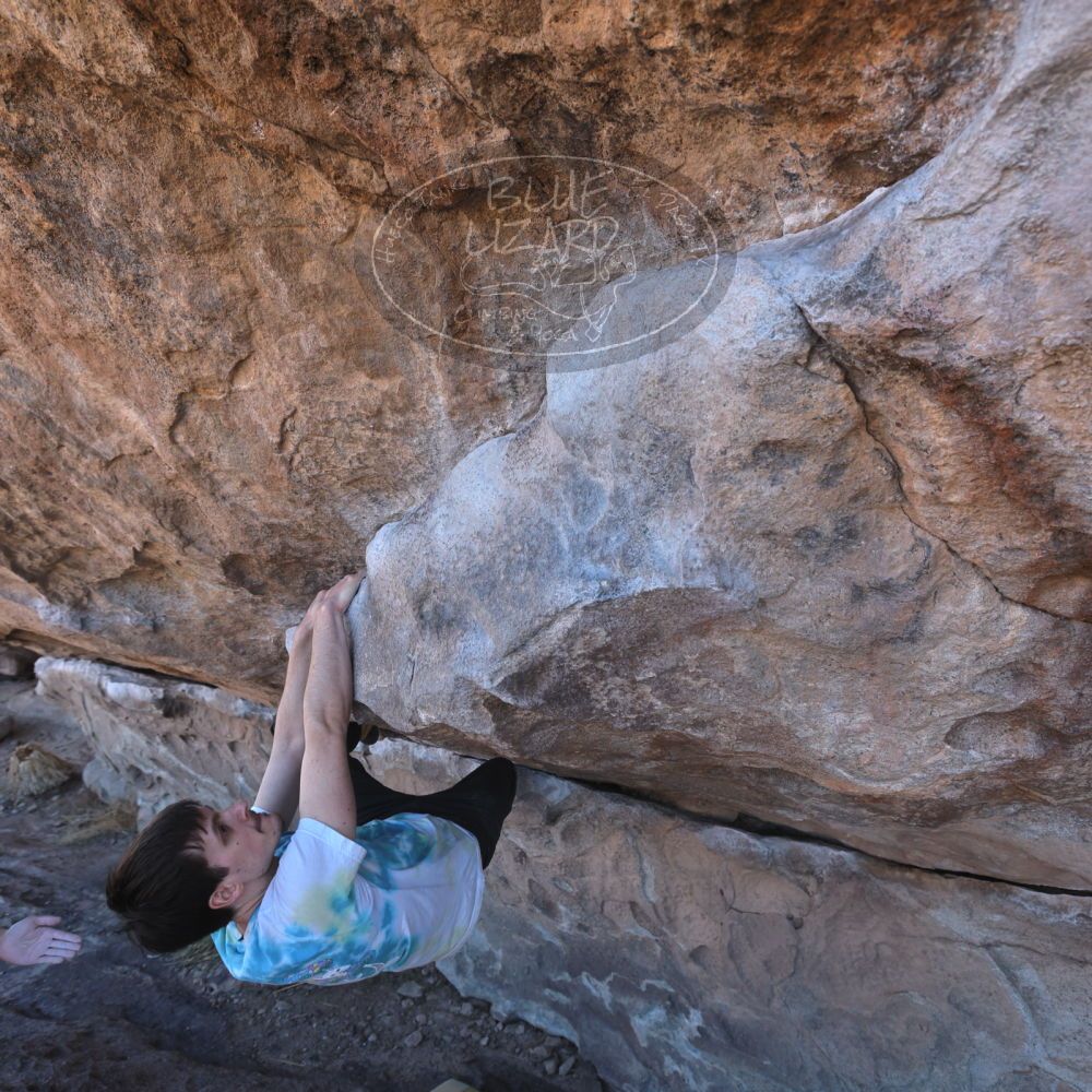 

Filename: SRM_20220226_1047070.jpg
Aperture: f/5.6
Shutter Speed: 1/250
Body: Canon EOS R6
Lens: Canon EF 16-35mm f/2.8 L