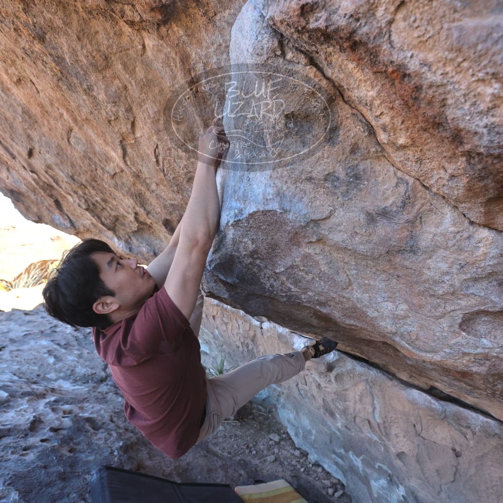 

Filename: SRM_20220226_1054280.jpg
Aperture: f/5.6
Shutter Speed: 1/250
Body: Canon EOS R6
Lens: Canon EF 16-35mm f/2.8 L