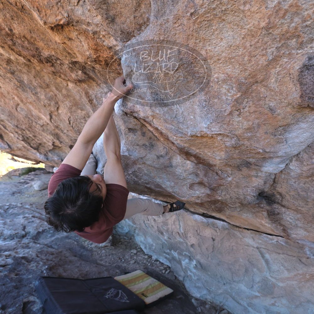 

Filename: SRM_20220226_1054370.jpg
Aperture: f/5.6
Shutter Speed: 1/250
Body: Canon EOS R6
Lens: Canon EF 16-35mm f/2.8 L