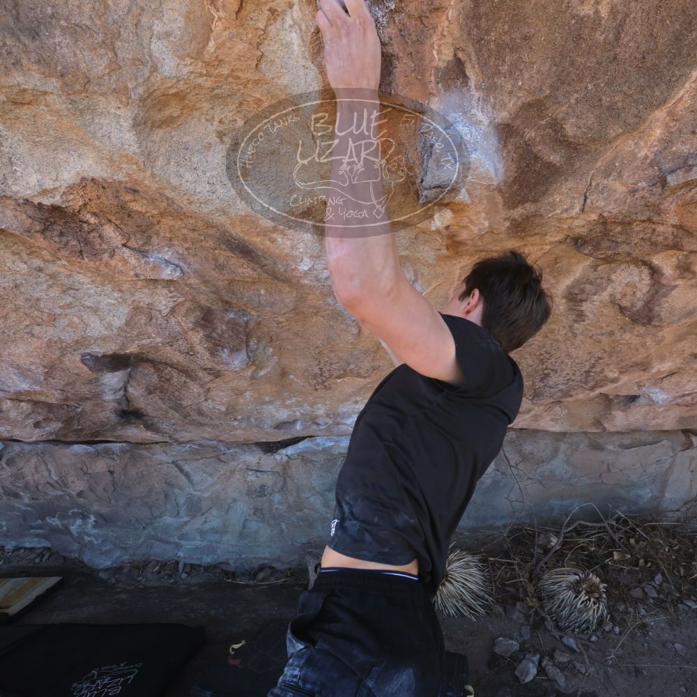 

Filename: SRM_20220226_1057404.jpg
Aperture: f/10.0
Shutter Speed: 1/250
Body: Canon EOS R6
Lens: Canon EF 16-35mm f/2.8 L