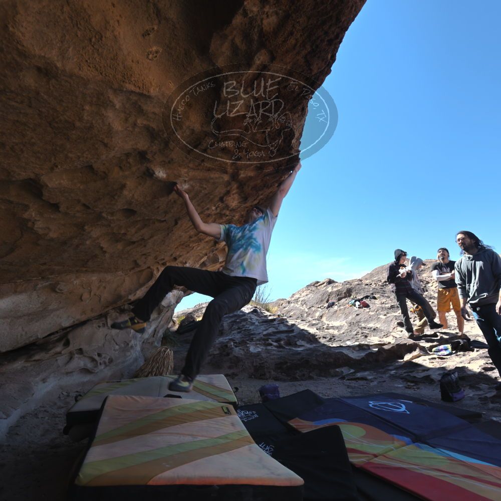 

Filename: SRM_20220226_1127300.jpg
Aperture: f/5.6
Shutter Speed: 1/250
Body: Canon EOS R6
Lens: Canon EF 16-35mm f/2.8 L