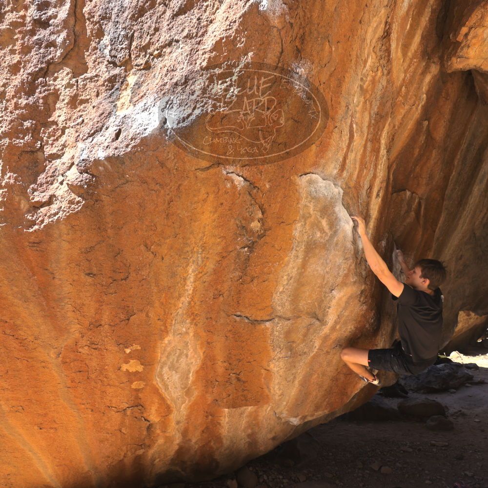 

Filename: SRM_20220226_1159500.jpg
Aperture: f/5.6
Shutter Speed: 1/250
Body: Canon EOS R6
Lens: Canon EF 16-35mm f/2.8 L