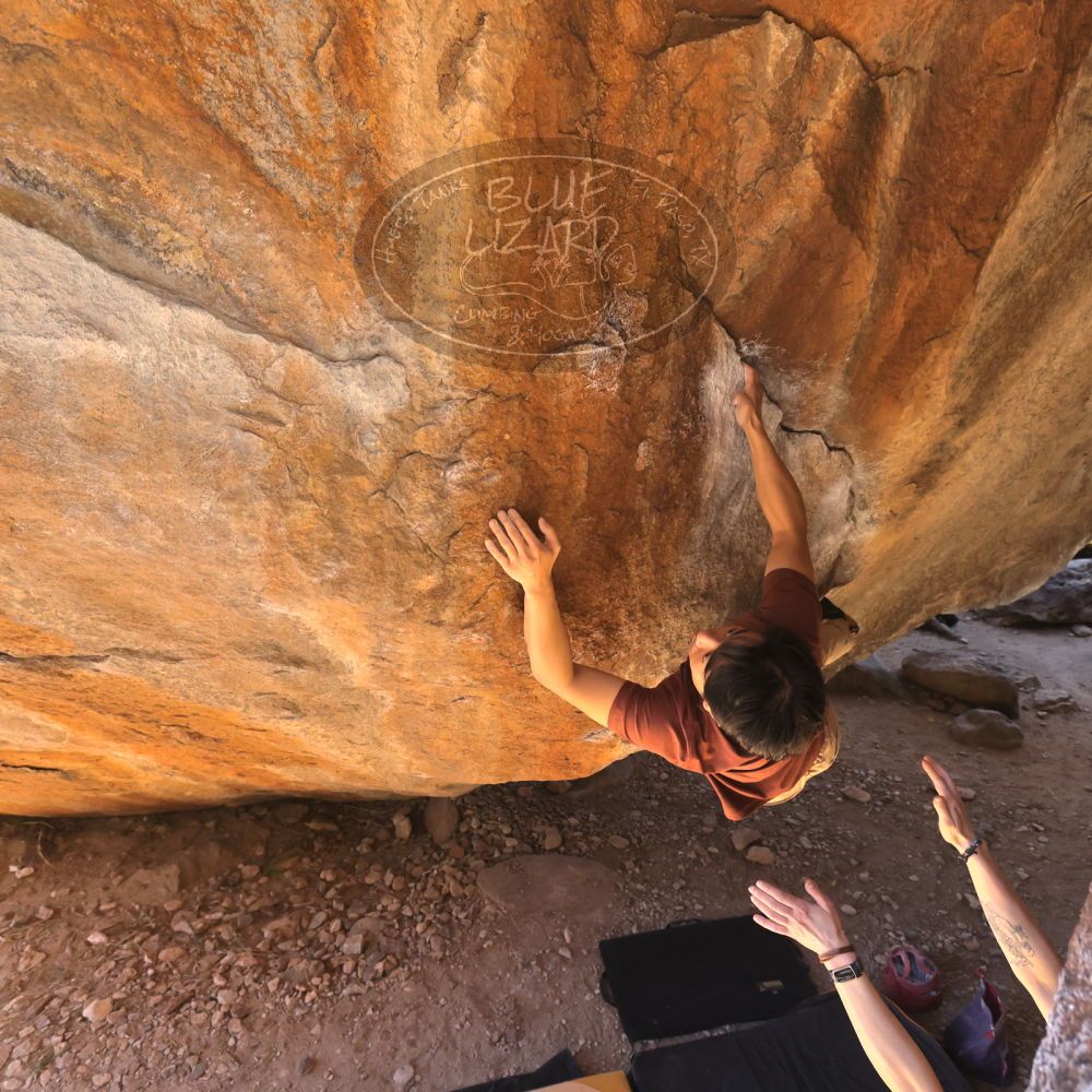 

Filename: SRM_20220226_1204330.jpg
Aperture: f/5.6
Shutter Speed: 1/400
Body: Canon EOS R6
Lens: Canon EF 16-35mm f/2.8 L