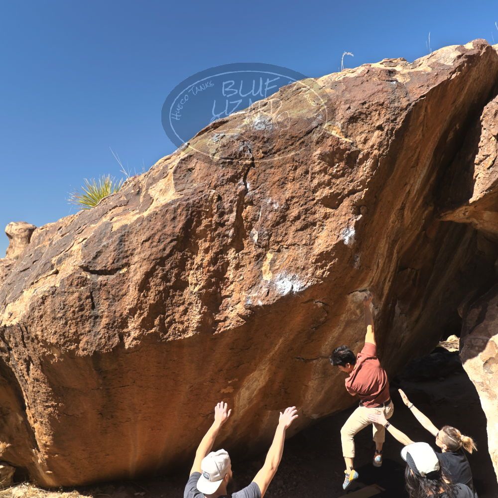 

Filename: SRM_20220226_1205140.jpg
Aperture: f/5.6
Shutter Speed: 1/400
Body: Canon EOS R6
Lens: Canon EF 16-35mm f/2.8 L