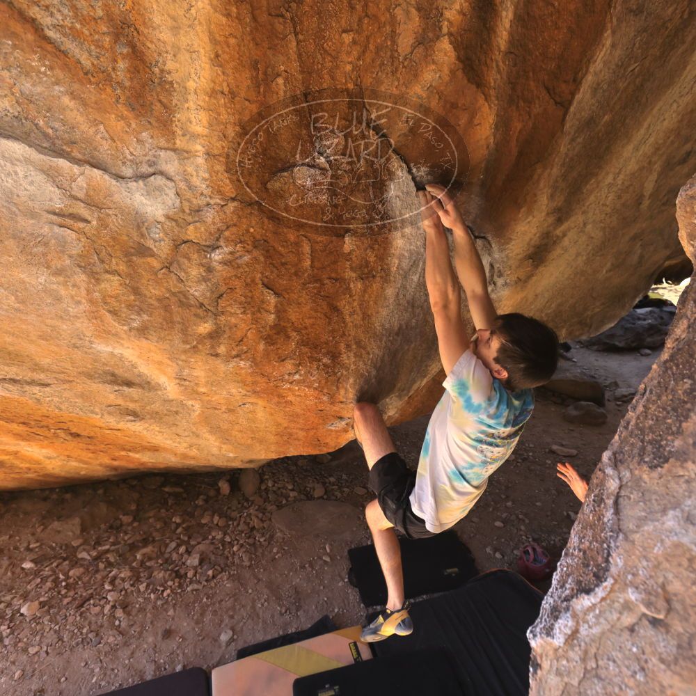 

Filename: SRM_20220226_1207400.jpg
Aperture: f/5.6
Shutter Speed: 1/400
Body: Canon EOS R6
Lens: Canon EF 16-35mm f/2.8 L