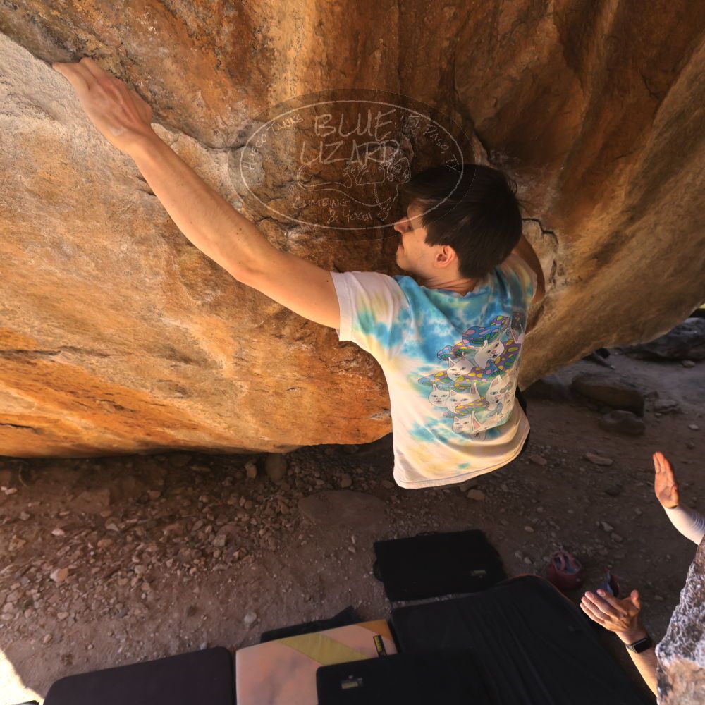 

Filename: SRM_20220226_1207421.jpg
Aperture: f/5.6
Shutter Speed: 1/400
Body: Canon EOS R6
Lens: Canon EF 16-35mm f/2.8 L