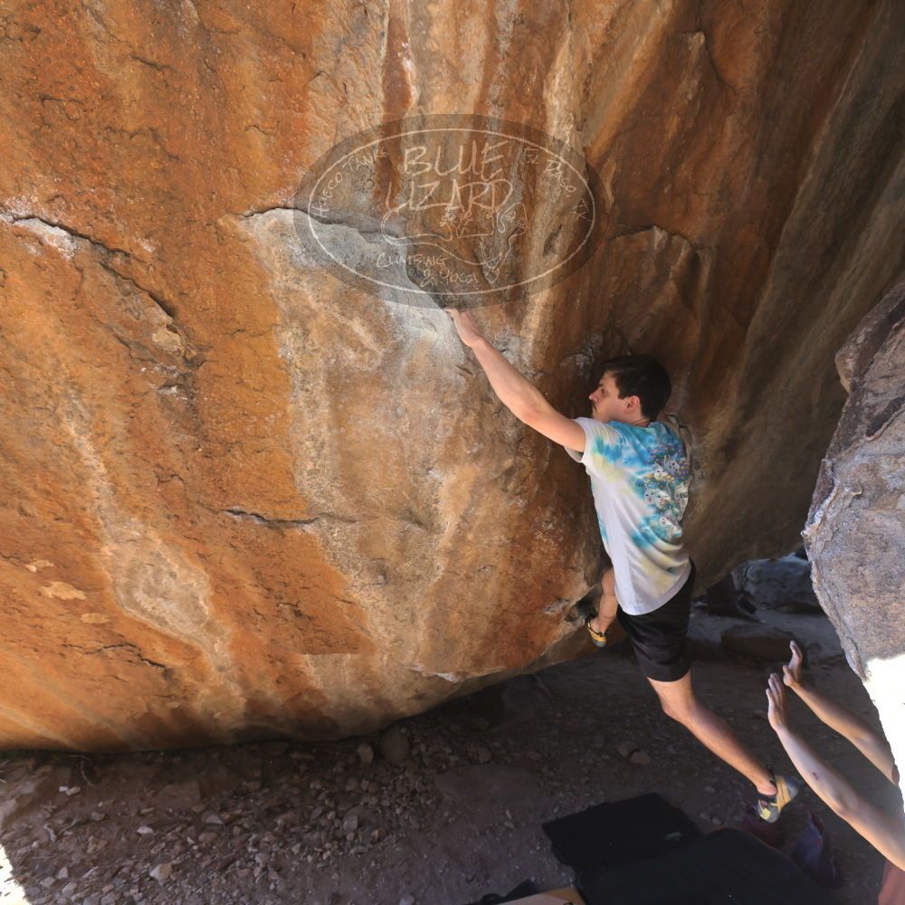 

Filename: SRM_20220226_1226040.jpg
Aperture: f/5.6
Shutter Speed: 1/400
Body: Canon EOS R6
Lens: Canon EF 16-35mm f/2.8 L