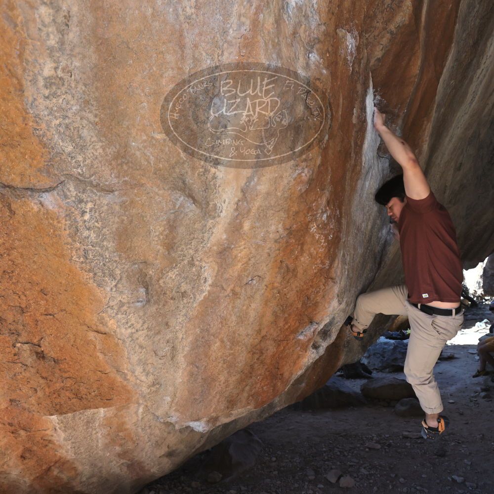 

Filename: SRM_20220226_1227160.jpg
Aperture: f/5.6
Shutter Speed: 1/400
Body: Canon EOS R6
Lens: Canon EF 16-35mm f/2.8 L