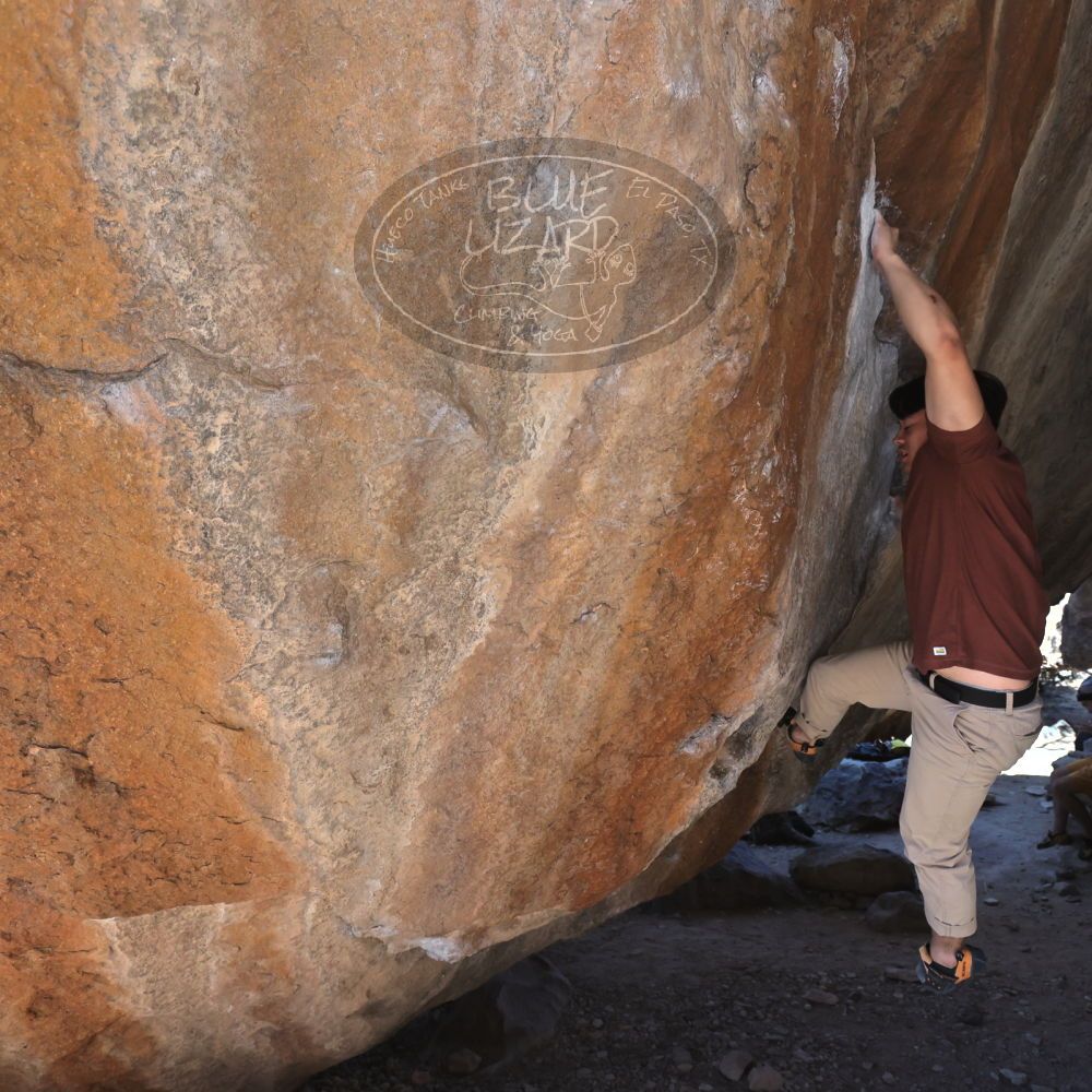 

Filename: SRM_20220226_1227170.jpg
Aperture: f/5.6
Shutter Speed: 1/400
Body: Canon EOS R6
Lens: Canon EF 16-35mm f/2.8 L