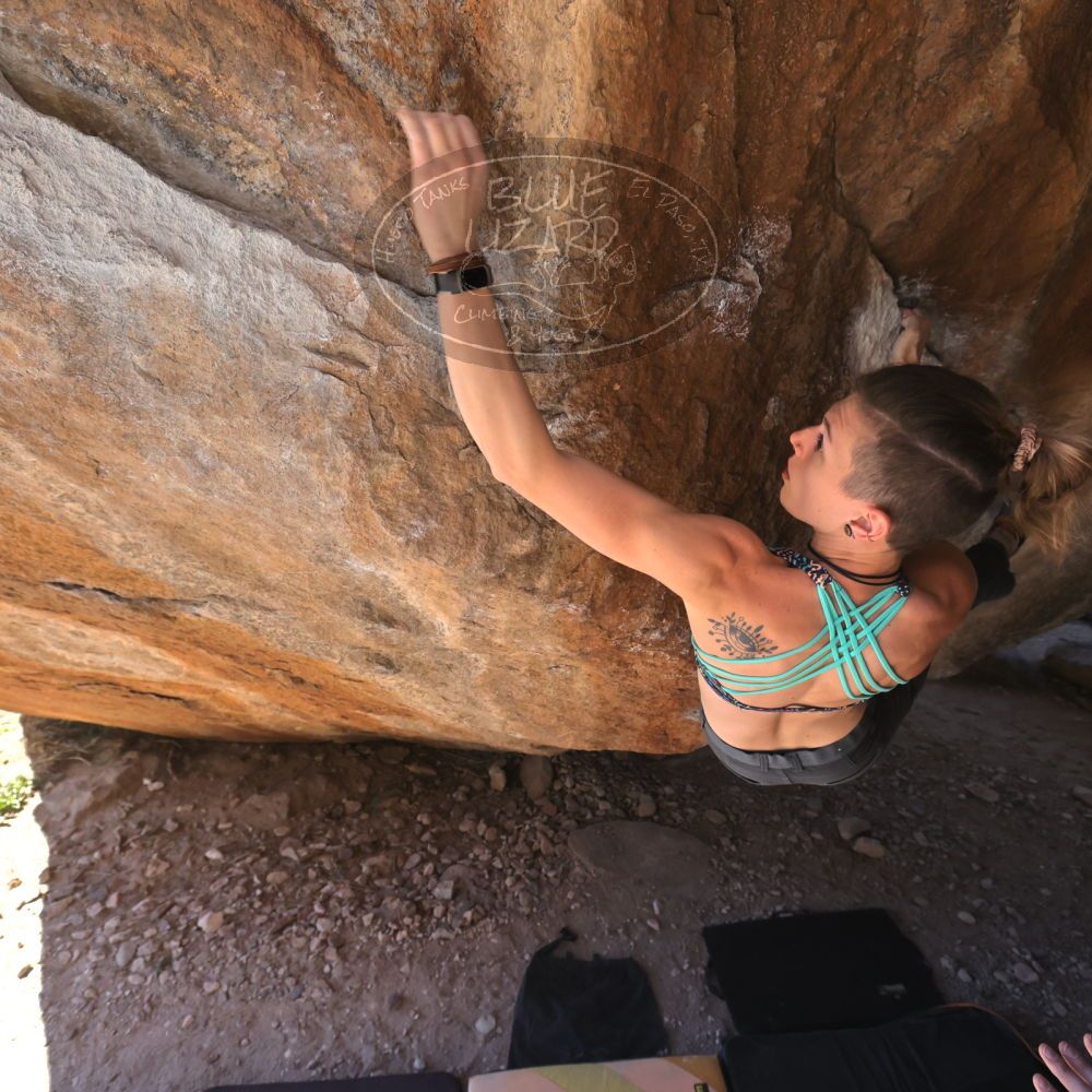 

Filename: SRM_20220226_1247240.jpg
Aperture: f/5.6
Shutter Speed: 1/400
Body: Canon EOS R6
Lens: Canon EF 16-35mm f/2.8 L