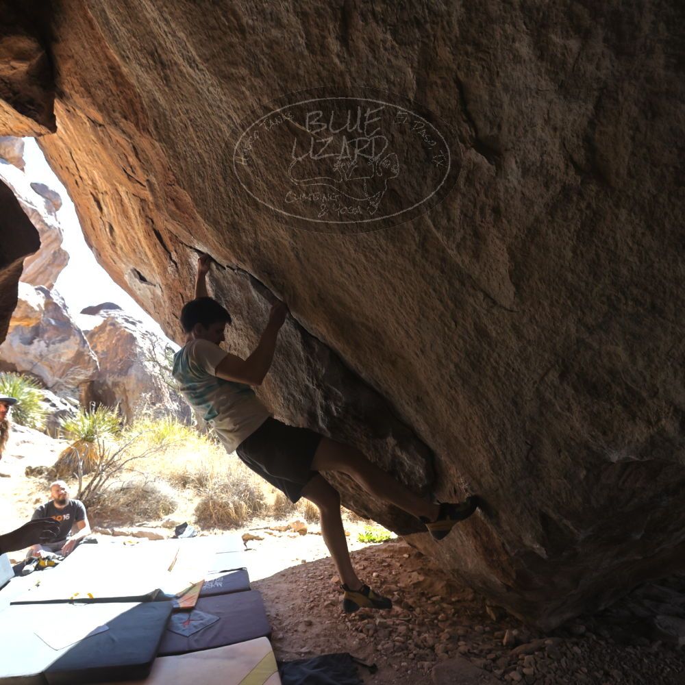 

Filename: SRM_20220226_1253540.jpg
Aperture: f/5.6
Shutter Speed: 1/400
Body: Canon EOS R6
Lens: Canon EF 16-35mm f/2.8 L