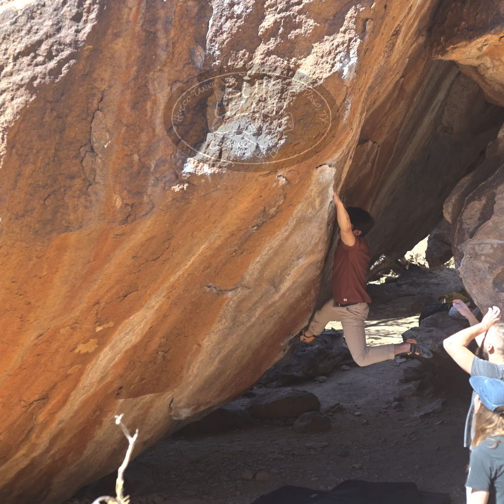 

Filename: SRM_20220226_1258521.jpg
Aperture: f/4.0
Shutter Speed: 1/400
Body: Canon EOS R6
Lens: Canon EF 50mm f/1.8 II