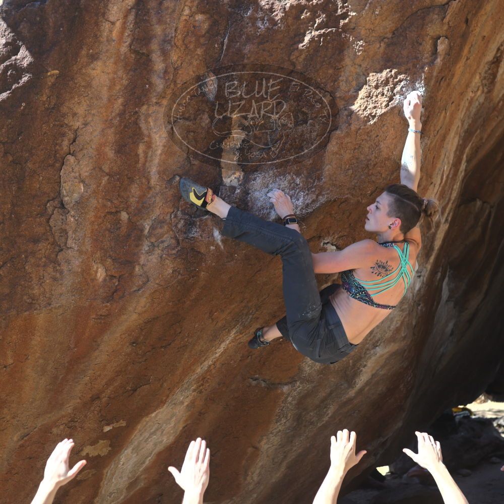 

Filename: SRM_20220226_1331270.jpg
Aperture: f/4.0
Shutter Speed: 1/400
Body: Canon EOS R6
Lens: Canon EF 50mm f/1.8 II