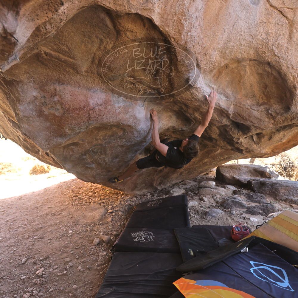 

Filename: SRM_20220226_1358280.jpg
Aperture: f/4.0
Shutter Speed: 1/400
Body: Canon EOS R6
Lens: Canon EF 16-35mm f/2.8 L