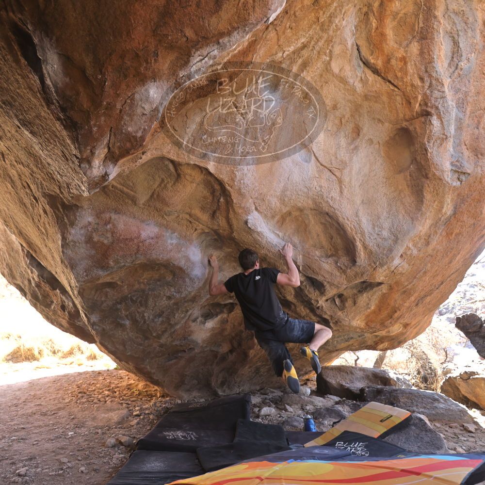 

Filename: SRM_20220226_1420252.jpg
Aperture: f/3.5
Shutter Speed: 1/250
Body: Canon EOS R6
Lens: Canon EF 16-35mm f/2.8 L