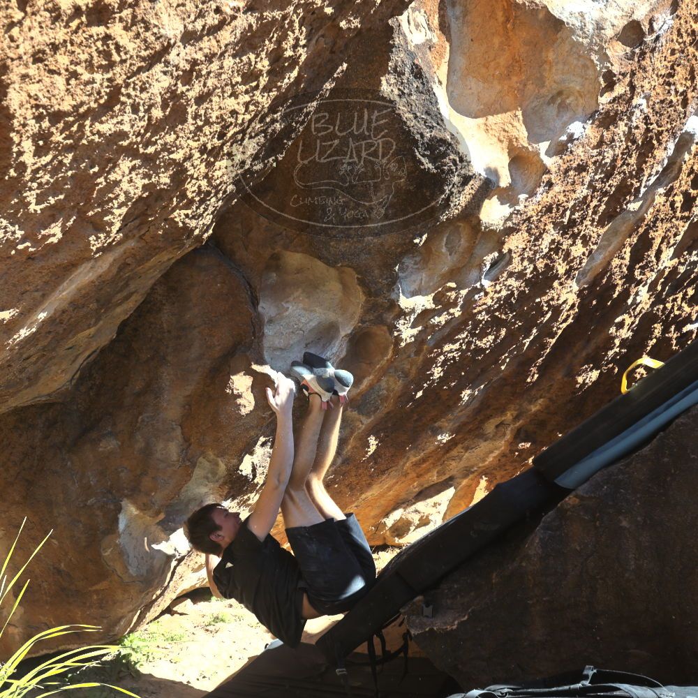 

Filename: SRM_20220226_1501530.jpg
Aperture: f/5.6
Shutter Speed: 1/500
Body: Canon EOS R6
Lens: Canon EF 16-35mm f/2.8 L