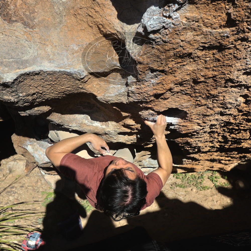 

Filename: SRM_20220226_1515200.jpg
Aperture: f/8.0
Shutter Speed: 1/500
Body: Canon EOS R6
Lens: Canon EF 16-35mm f/2.8 L