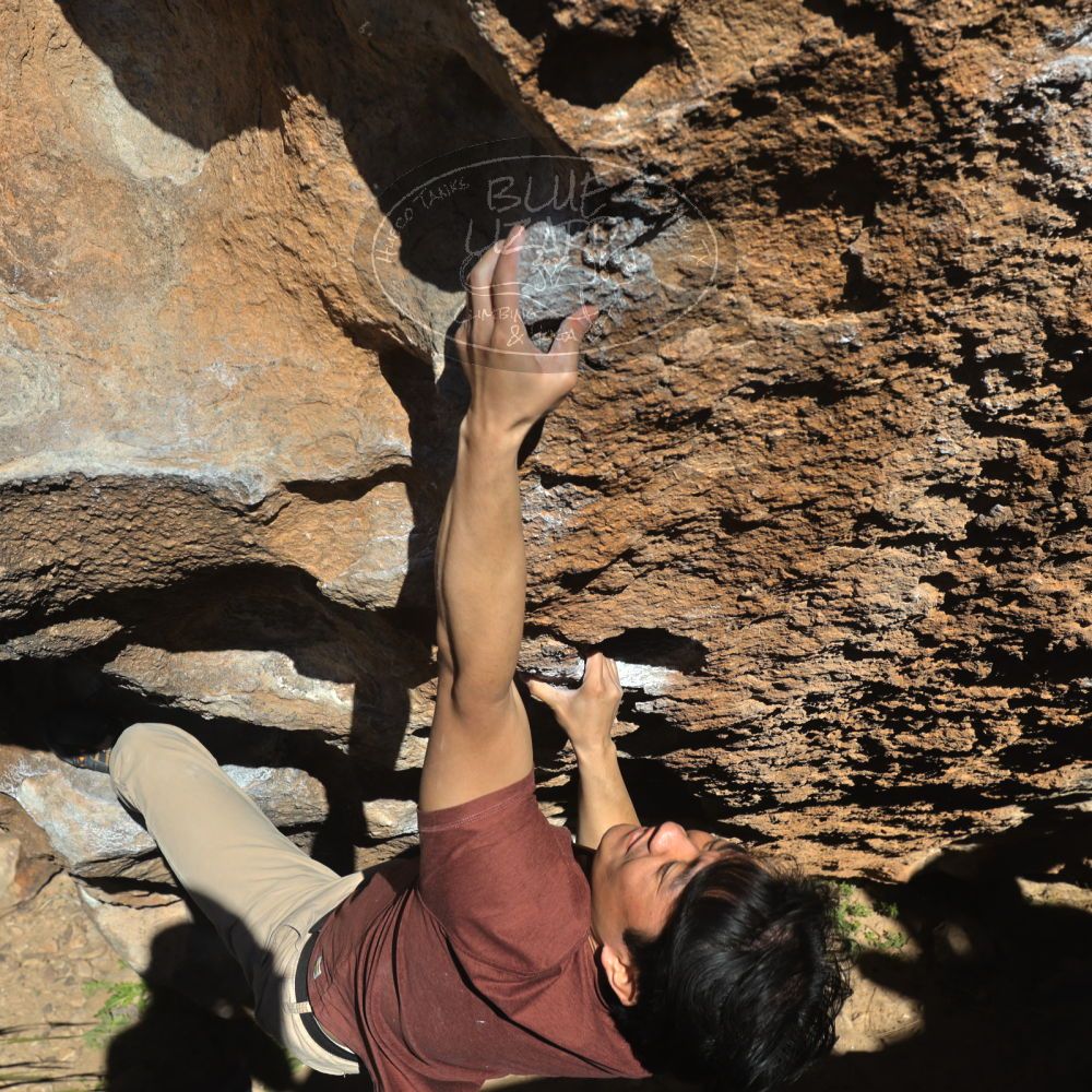 

Filename: SRM_20220226_1515210.jpg
Aperture: f/8.0
Shutter Speed: 1/500
Body: Canon EOS R6
Lens: Canon EF 16-35mm f/2.8 L