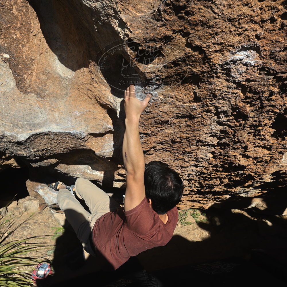 

Filename: SRM_20220226_1515240.jpg
Aperture: f/8.0
Shutter Speed: 1/500
Body: Canon EOS R6
Lens: Canon EF 16-35mm f/2.8 L