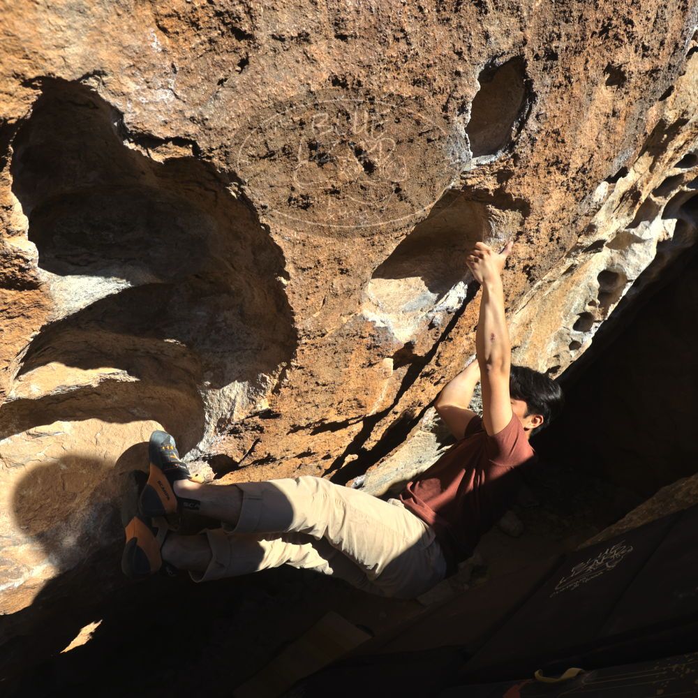 

Filename: SRM_20220226_1534180.jpg
Aperture: f/8.0
Shutter Speed: 1/500
Body: Canon EOS R6
Lens: Canon EF 16-35mm f/2.8 L