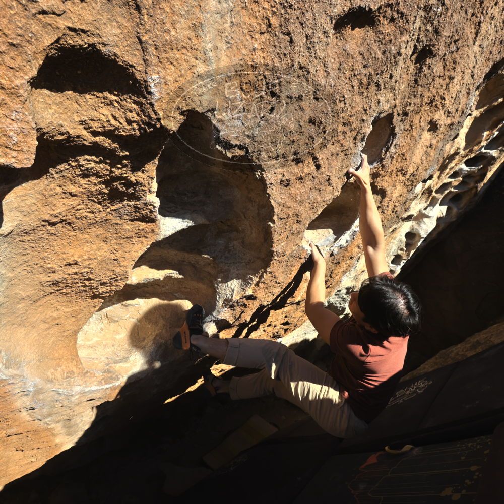 

Filename: SRM_20220226_1534300.jpg
Aperture: f/8.0
Shutter Speed: 1/500
Body: Canon EOS R6
Lens: Canon EF 16-35mm f/2.8 L