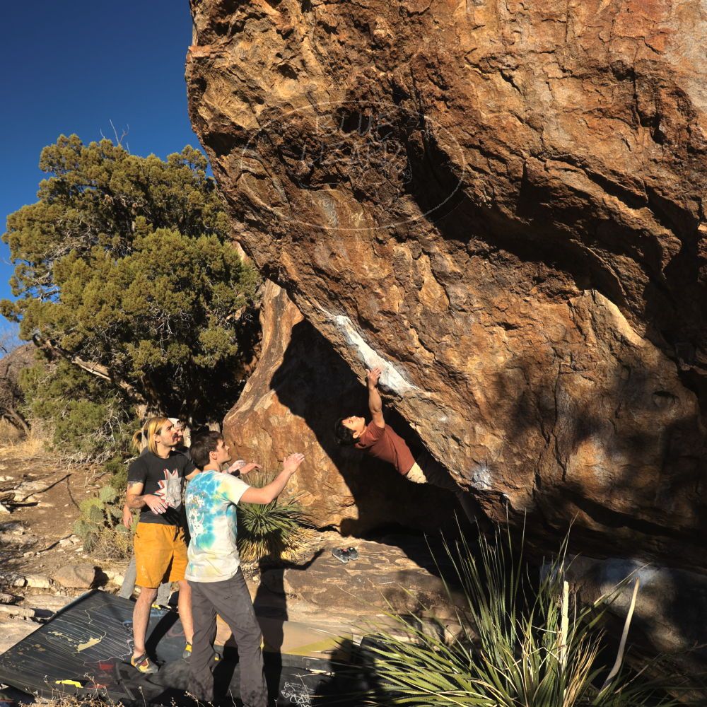 

Filename: SRM_20220226_1703220.jpg
Aperture: f/8.0
Shutter Speed: 1/500
Body: Canon EOS R6
Lens: Canon EF 16-35mm f/2.8 L