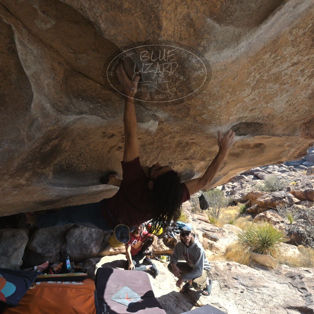 

Filename: SRM_20220227_0955000.jpg
Aperture: f/5.6
Shutter Speed: 1/320
Body: Canon EOS R6
Lens: Canon EF 16-35mm f/2.8 L