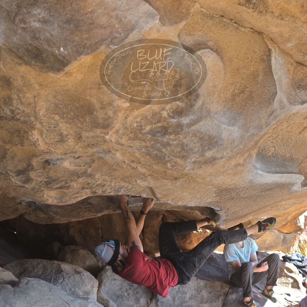 

Filename: SRM_20220227_1029590.jpg
Aperture: f/4.0
Shutter Speed: 1/400
Body: Canon EOS R6
Lens: Canon EF 50mm f/1.8 II