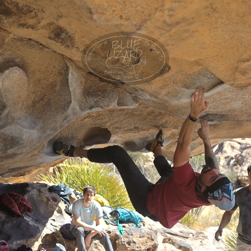 

Filename: SRM_20220227_1100161.jpg
Aperture: f/4.5
Shutter Speed: 1/400
Body: Canon EOS R6
Lens: Canon EF 50mm f/1.8 II