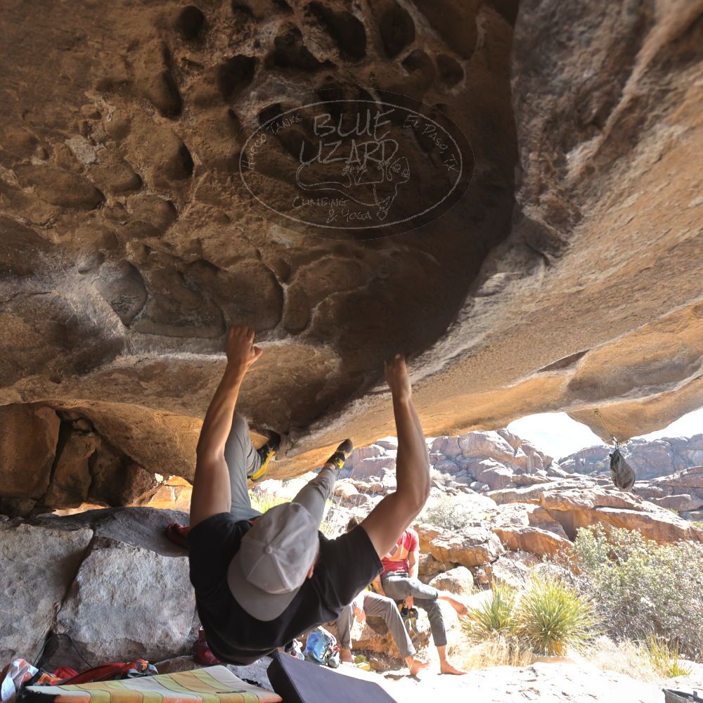 

Filename: SRM_20220227_1103450.jpg
Aperture: f/5.6
Shutter Speed: 1/400
Body: Canon EOS R6
Lens: Canon EF 16-35mm f/2.8 L