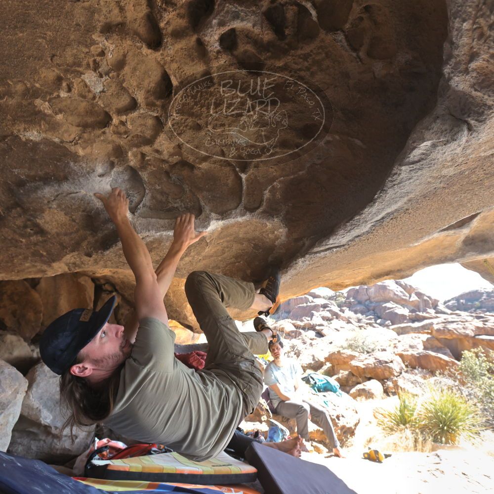 

Filename: SRM_20220227_1109430.jpg
Aperture: f/5.6
Shutter Speed: 1/400
Body: Canon EOS R6
Lens: Canon EF 16-35mm f/2.8 L