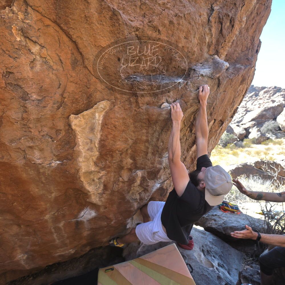 

Filename: SRM_20220227_1339530.jpg
Aperture: f/5.6
Shutter Speed: 1/800
Body: Canon EOS R6
Lens: Canon EF 16-35mm f/2.8 L