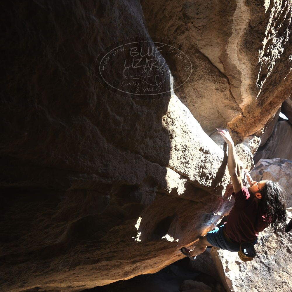 

Filename: SRM_20220227_1430450.jpg
Aperture: f/6.3
Shutter Speed: 1/500
Body: Canon EOS R6
Lens: Canon EF 16-35mm f/2.8 L