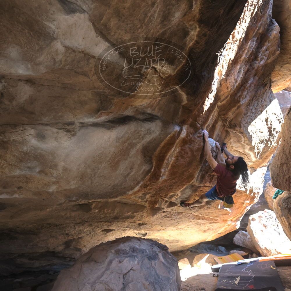 

Filename: SRM_20220227_1431140.jpg
Aperture: f/6.3
Shutter Speed: 1/500
Body: Canon EOS R6
Lens: Canon EF 16-35mm f/2.8 L