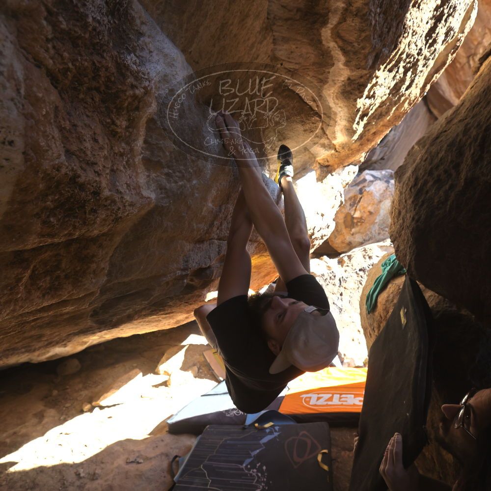 

Filename: SRM_20220227_1446001.jpg
Aperture: f/5.6
Shutter Speed: 1/500
Body: Canon EOS R6
Lens: Canon EF 16-35mm f/2.8 L