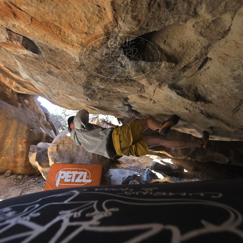 

Filename: SRM_20220227_1540560.jpg
Aperture: f/5.6
Shutter Speed: 1/500
Body: Canon EOS R6
Lens: Canon EF 16-35mm f/2.8 L