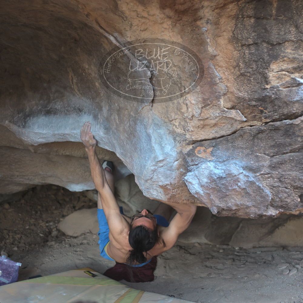 

Filename: SRM_20220227_1638080.jpg
Aperture: f/2.8
Shutter Speed: 1/500
Body: Canon EOS R6
Lens: Canon EF 50mm f/1.8 II