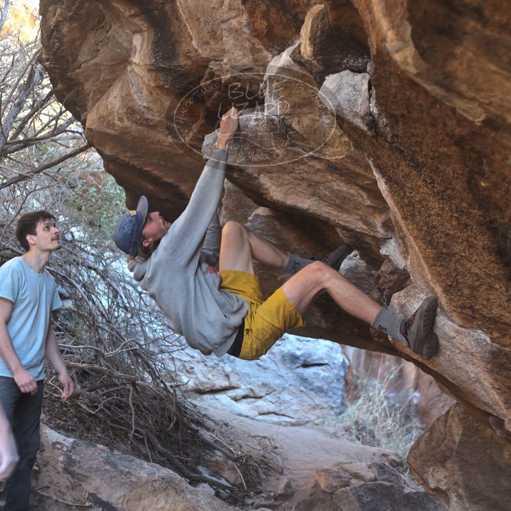 

Filename: SRM_20220227_1638580.jpg
Aperture: f/2.8
Shutter Speed: 1/500
Body: Canon EOS R6
Lens: Canon EF 50mm f/1.8 II